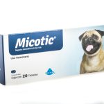 MICOTIC 300 MG 20 TABS