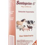 SENTOPRIM-S SOLUCION INY. 100 ML