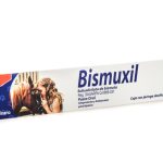 BISMUXIL PASTA (JERINGA CON 30 ML) SUSP
