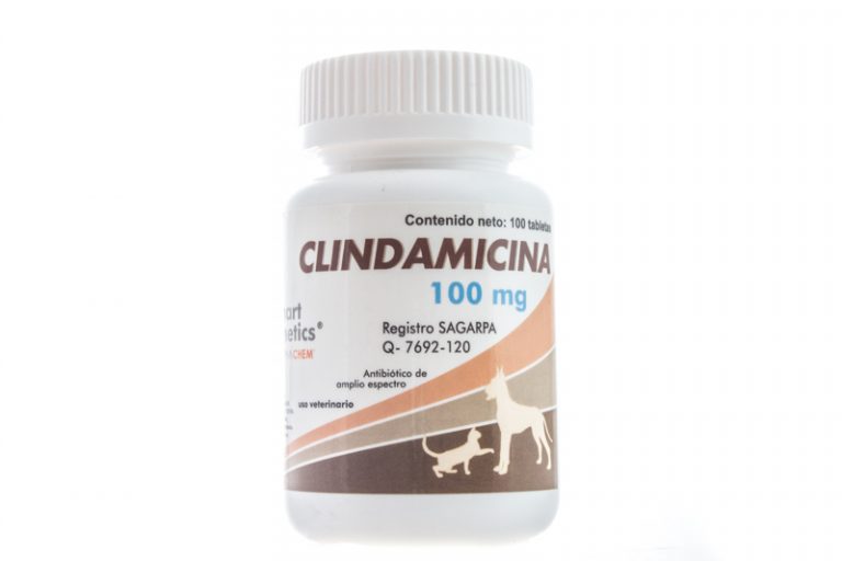 CLINDAMICINA 100 MG Alevigo CLINDAMICINA 100 MG Alevigo