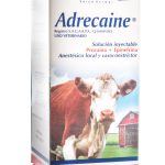 ADRECAINE 50 ML*