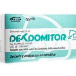 DEXDOMITOR*